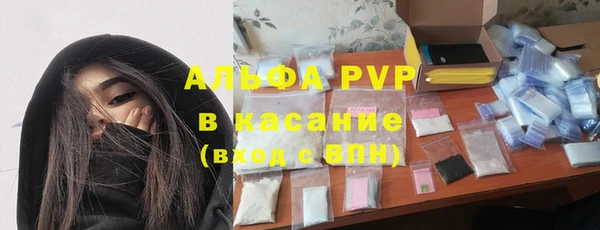 ECSTASY Богородицк