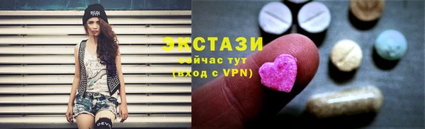 ECSTASY Богородицк