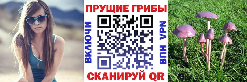 Галлюциногенные грибы Magic Shrooms  продажа наркотиков  Чишмы 